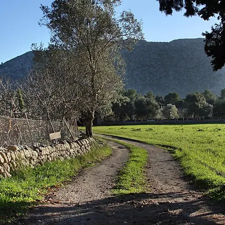 Hébergement de vacances Pontico *