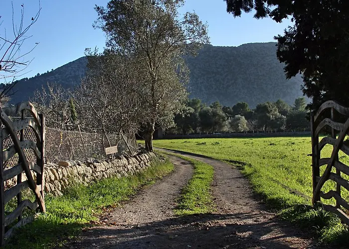 Hébergement de vacances Pontico *