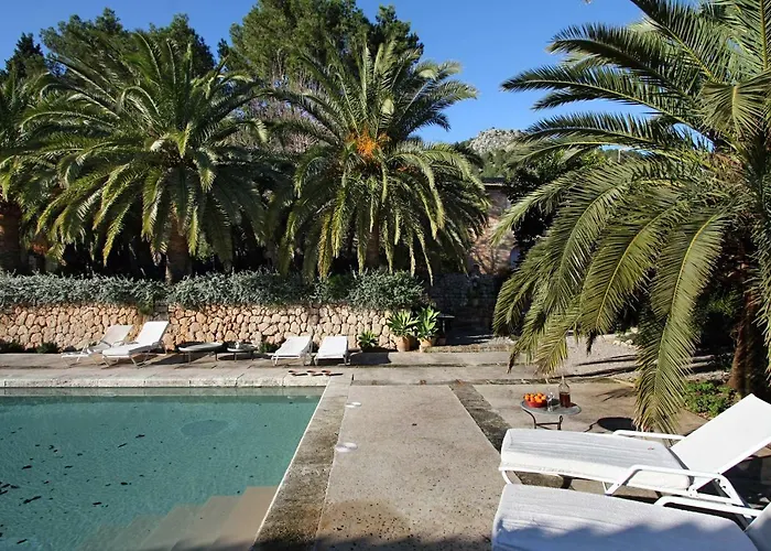 Pontico פוינסה